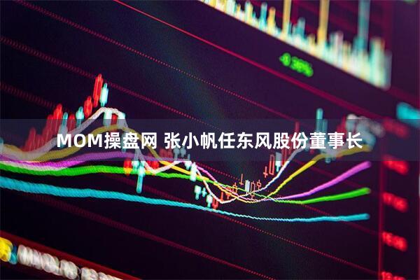 MOM操盘网 张小帆任东风股份董事长