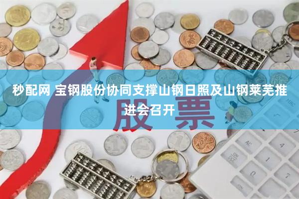 秒配网 宝钢股份协同支撑山钢日照及山钢莱芜推进会召开