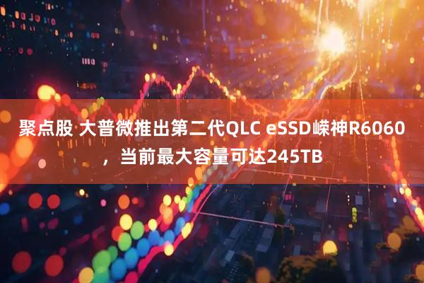 聚点股 大普微推出第二代QLC eSSD嵘神R6060，当前最大容量可达245TB
