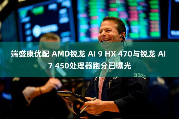 端盛康优配 AMD锐龙 AI 9 HX 470与锐龙 AI 7 450处理器跑分已曝光