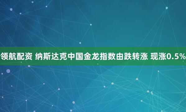 领航配资 纳斯达克中国金龙指数由跌转涨 现涨0.5%